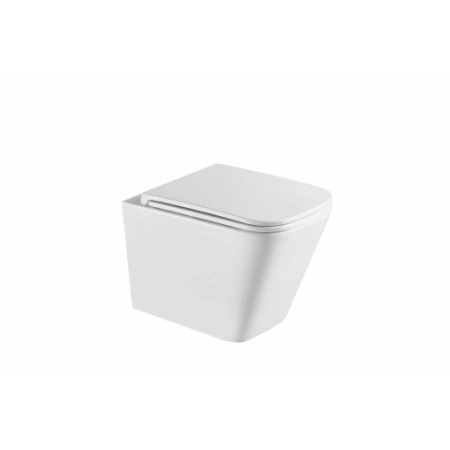 Подвесной унитаз безободковый Terminus Ватикан 490х340 белый