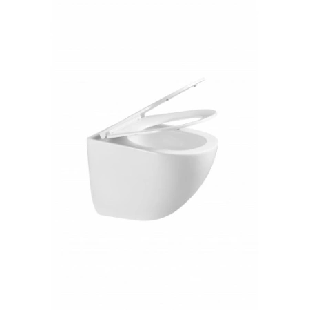 Подвесной унитаз безободковый Terminus Аврора 495х360 белый