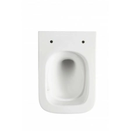 Подвесной унитаз безободковый Terminus Ватикан 490х340 белый