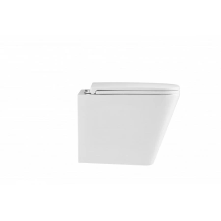 Подвесной унитаз безободковый Terminus Ватикан 490х340 белый
